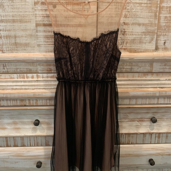 Sheer Nude and Black Lace Dress - Picture 1 of 3